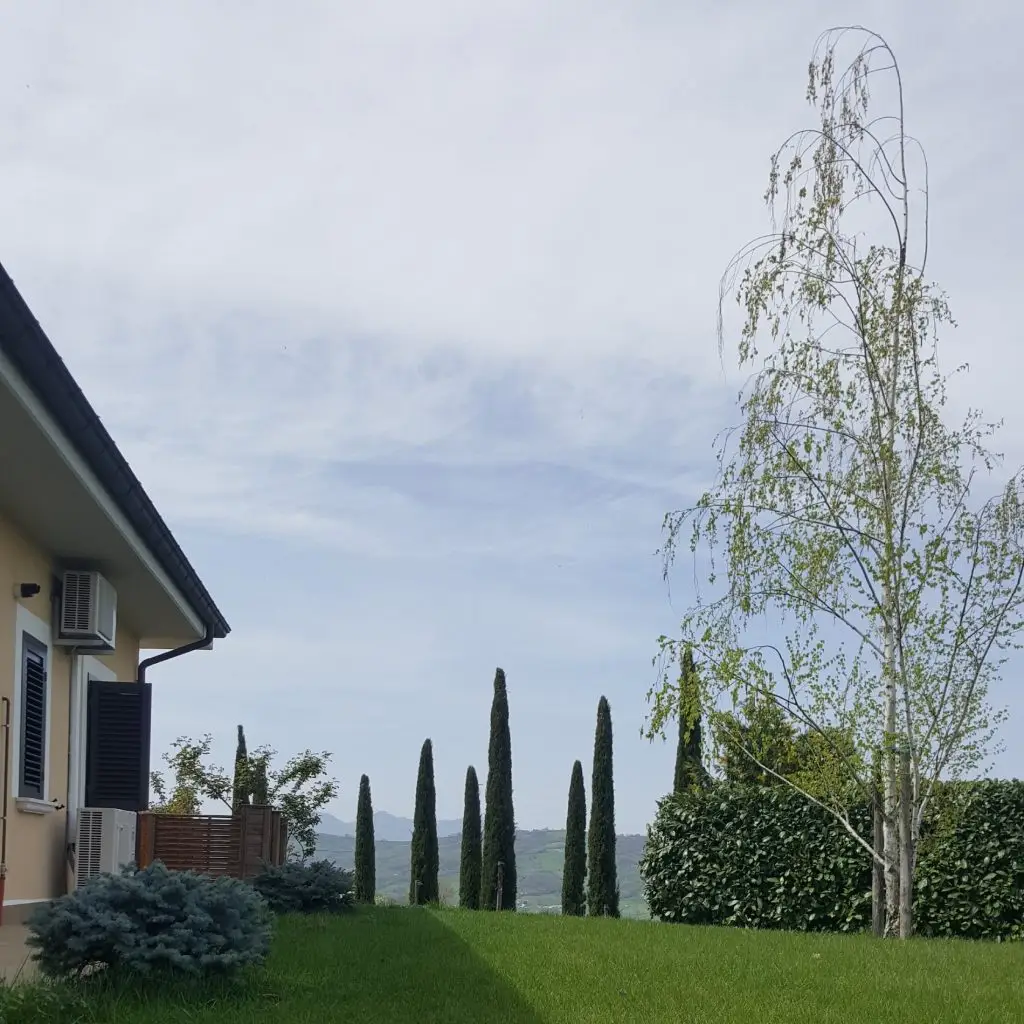 Giardini3