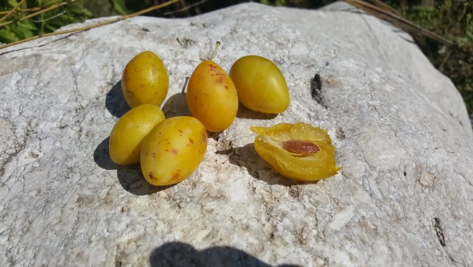 Varietà Di Frutti