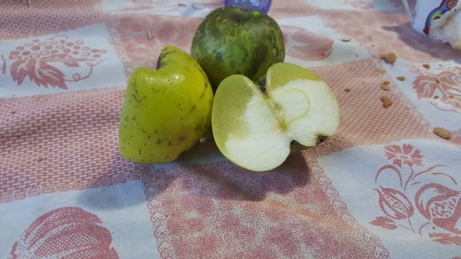 Varietà Di Frutti3