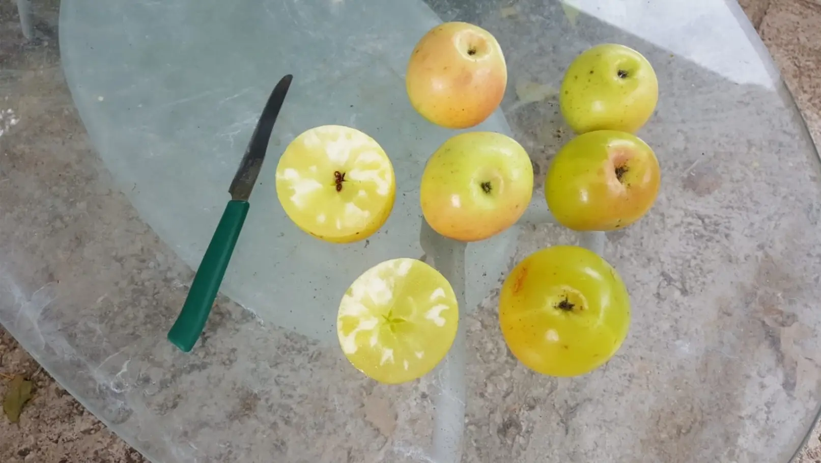 Varietà Di Frutti5